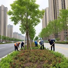 beat365 天津城市绿化用苗种植基地